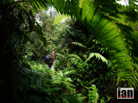 ©iancorless.com.P1220782