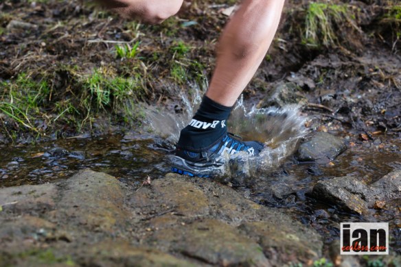 ©iancorless.com.IMG_5571