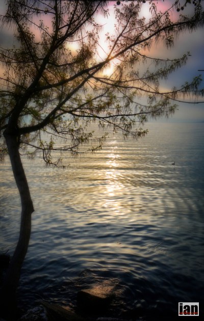 ©iancorless.comiancorless.orgP1010508