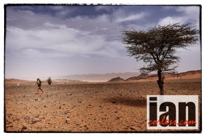 iancorless.comP1030603