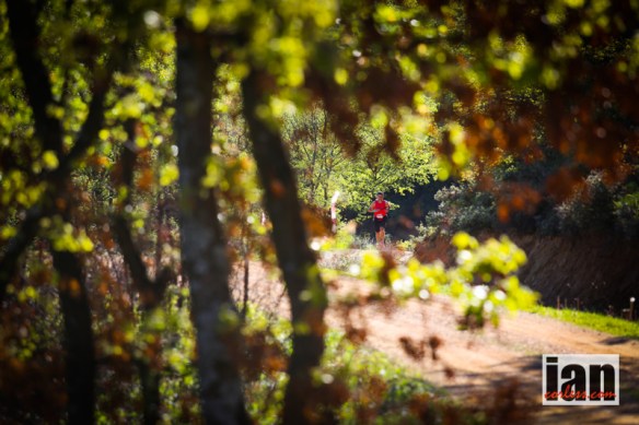 Robbie Britton Iznik Ultra ©iancorless.com