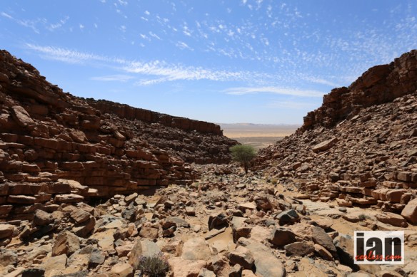 ©iancorless.com.IMG_3966