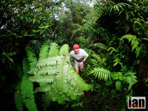 ©iancorless.comP1220752