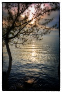 iancorless.orgP1010508