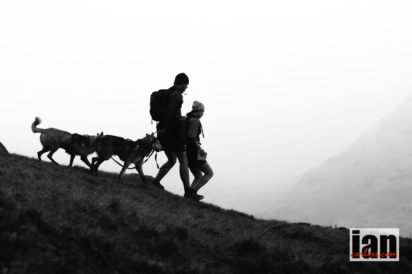 ©iancorless.com.IMG_5585GL3D_Day1