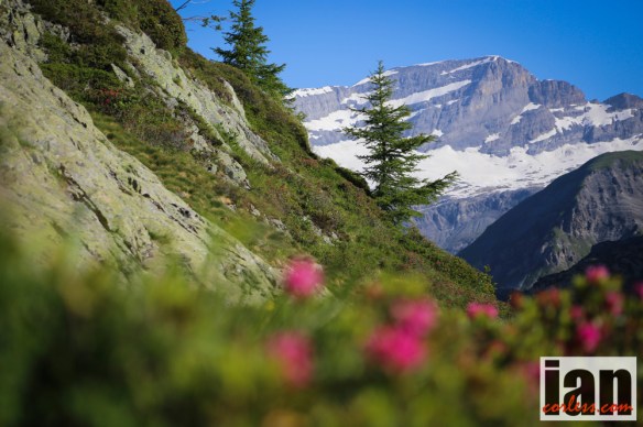 ©iancorless.com_©iancorless.com-0426MontBlanc80k_2014