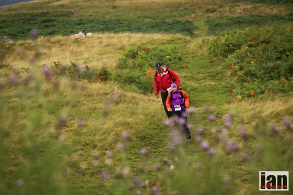 ©iancorless.com_IMG_0173Marmot24_2014_