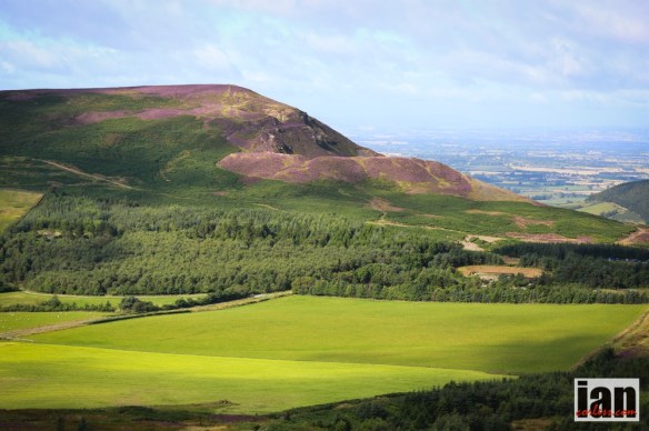 ©iancorless.com_IMG_2189BerghausTrailChase_2014_