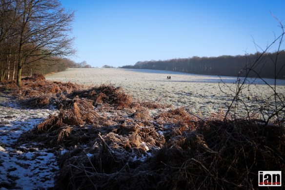 ©iancorless.com_CarrMill-7245