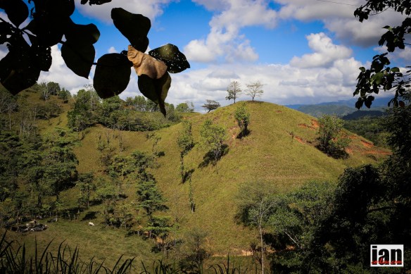 ©iancorless.com_TCC2015_Day1-9696