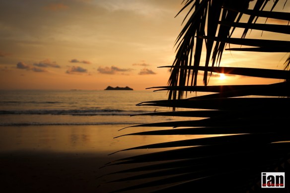 ©iancorless.com_TCC2015_Day4B-1382