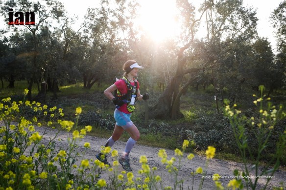 ©iancorless.com_Iznik2015-3944