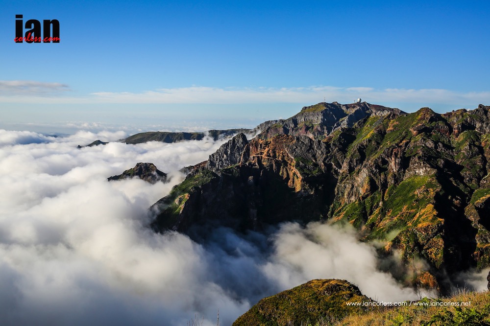 ©iancorless.com_USM2015-3300