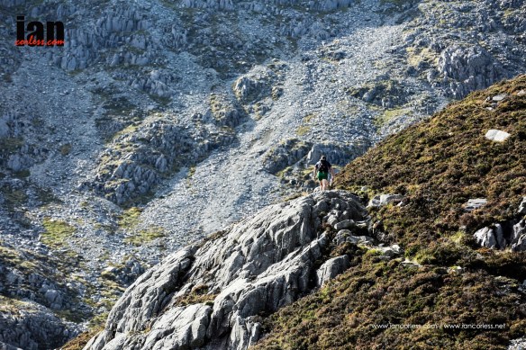 ©iancorless.com_RabMM2015-5008