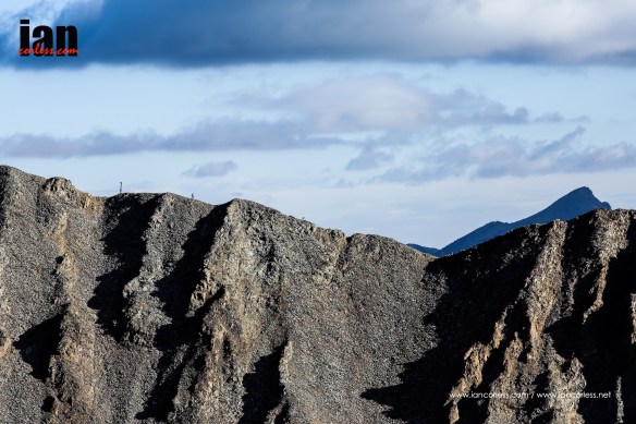 ©iancorless.com_Rut2015-1204