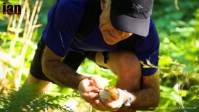 ©iancorless.comIMG_7936