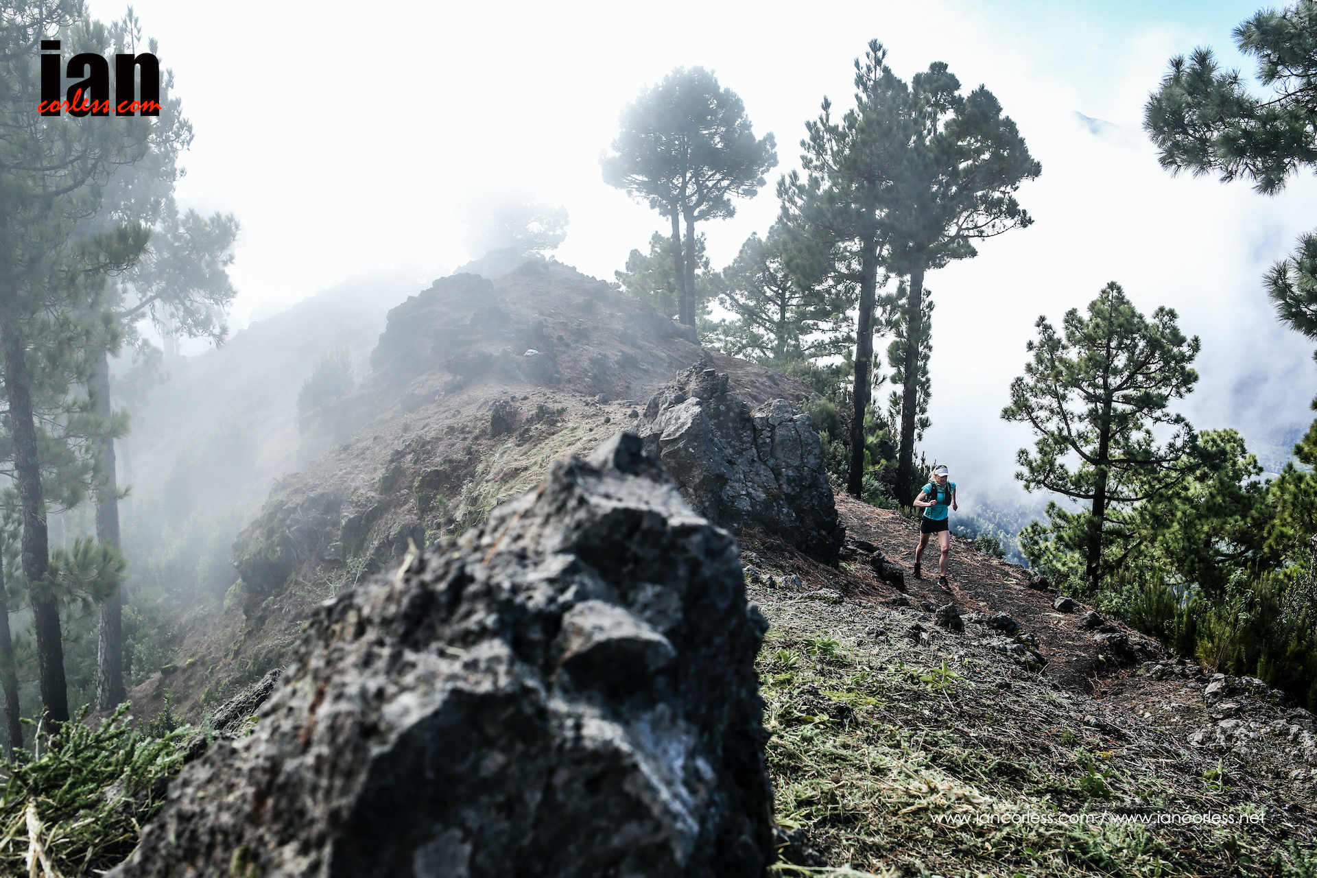 ©iancorless.com_LaPalma2015-4851