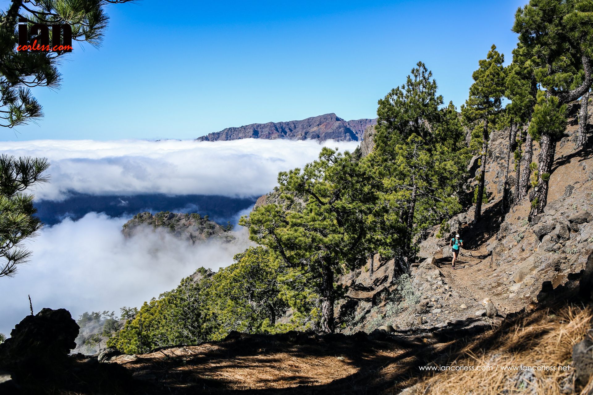 ©iancorless.com_LaPalma2015-5422