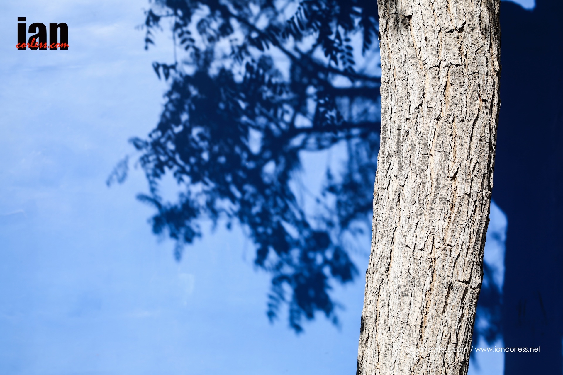 ©iancorless.com_LaPalma2015-9776