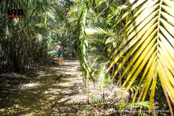 ©iancorless.com_TCC2016-1158