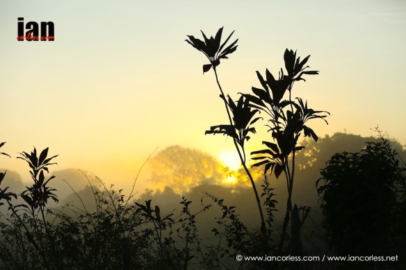 ©iancorless.com_TCC2016-3069