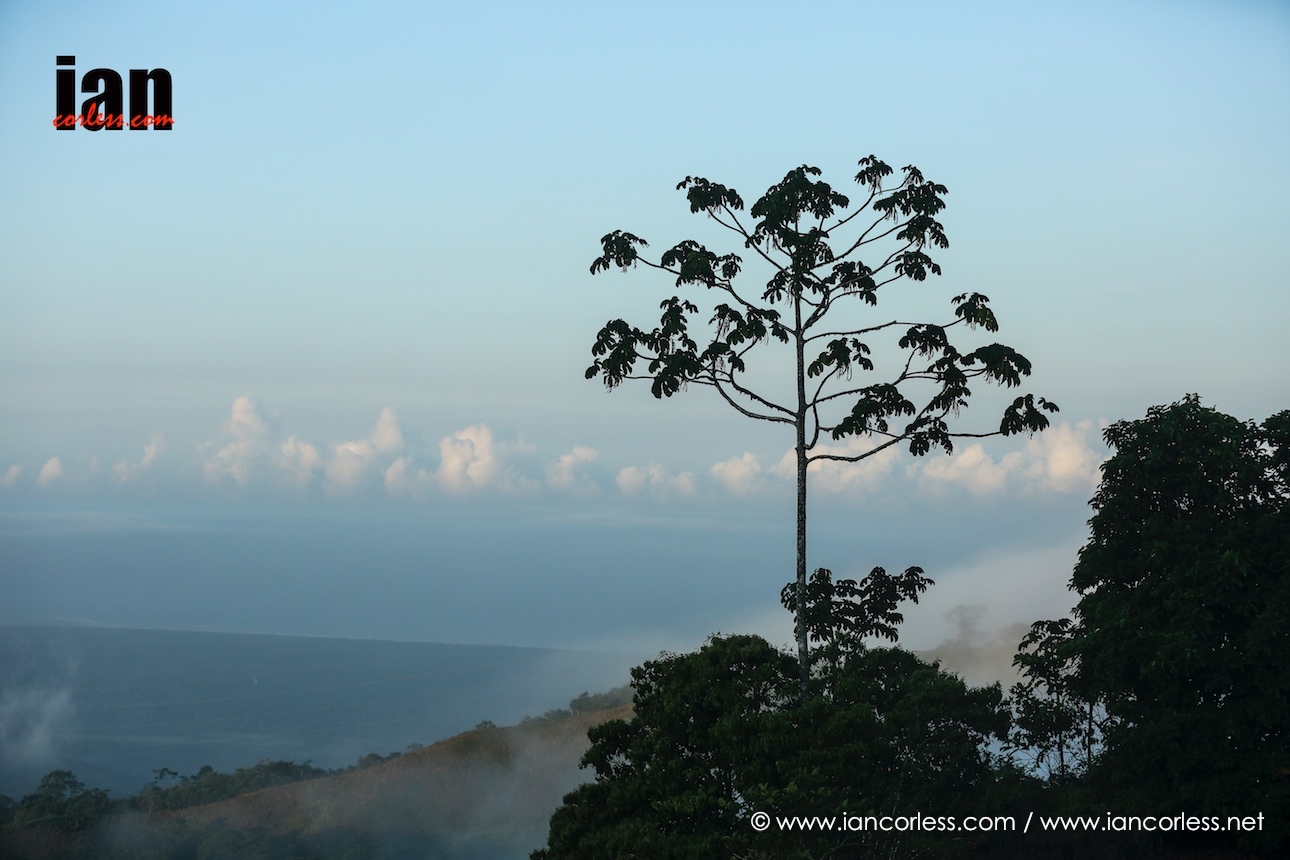 ©iancorless.com_TCC2016-3084