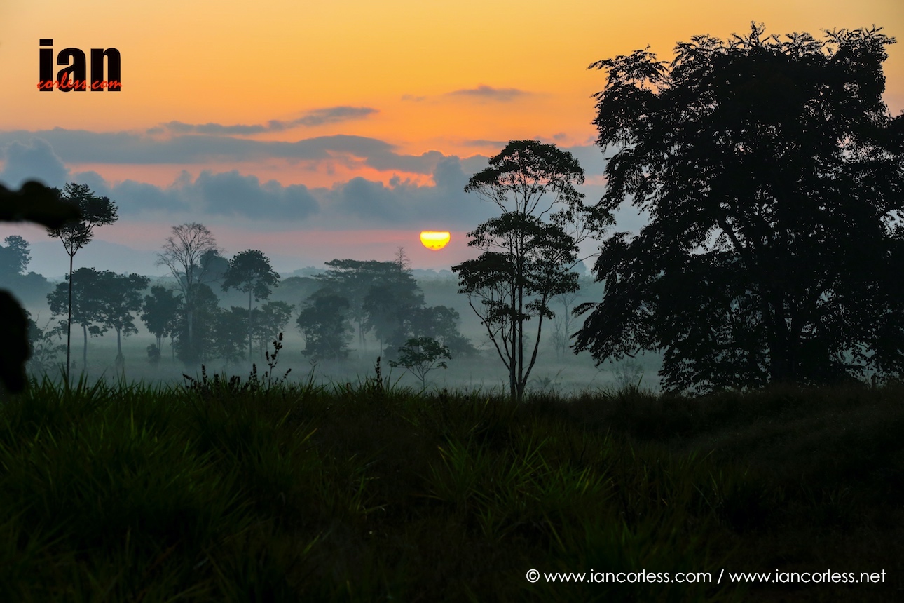 ©iancorless.com_TCC2016-5157