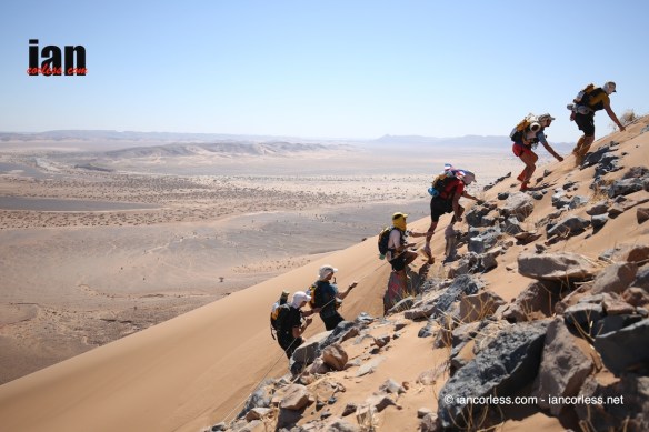 ©iancorless.com_MDS2016-0946