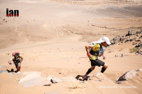 ©iancorless.com_MDS2016-1666