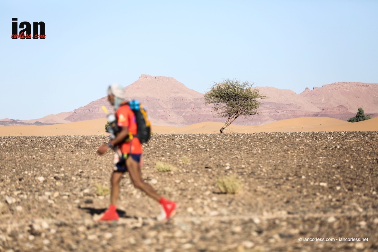 ©iancorless.com_MDS2016-3107