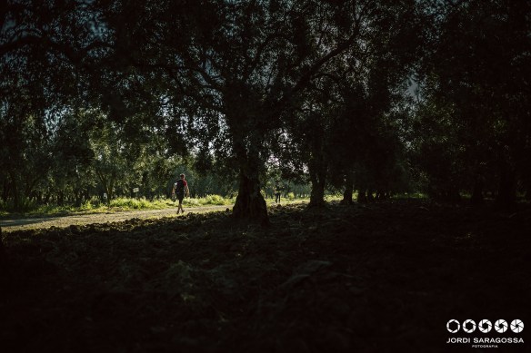 pic by https://www.facebook.com/jordisaragossa