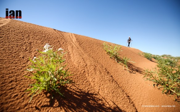 ©iancorless.com_BigRedRun2016_RaceDay4-0799