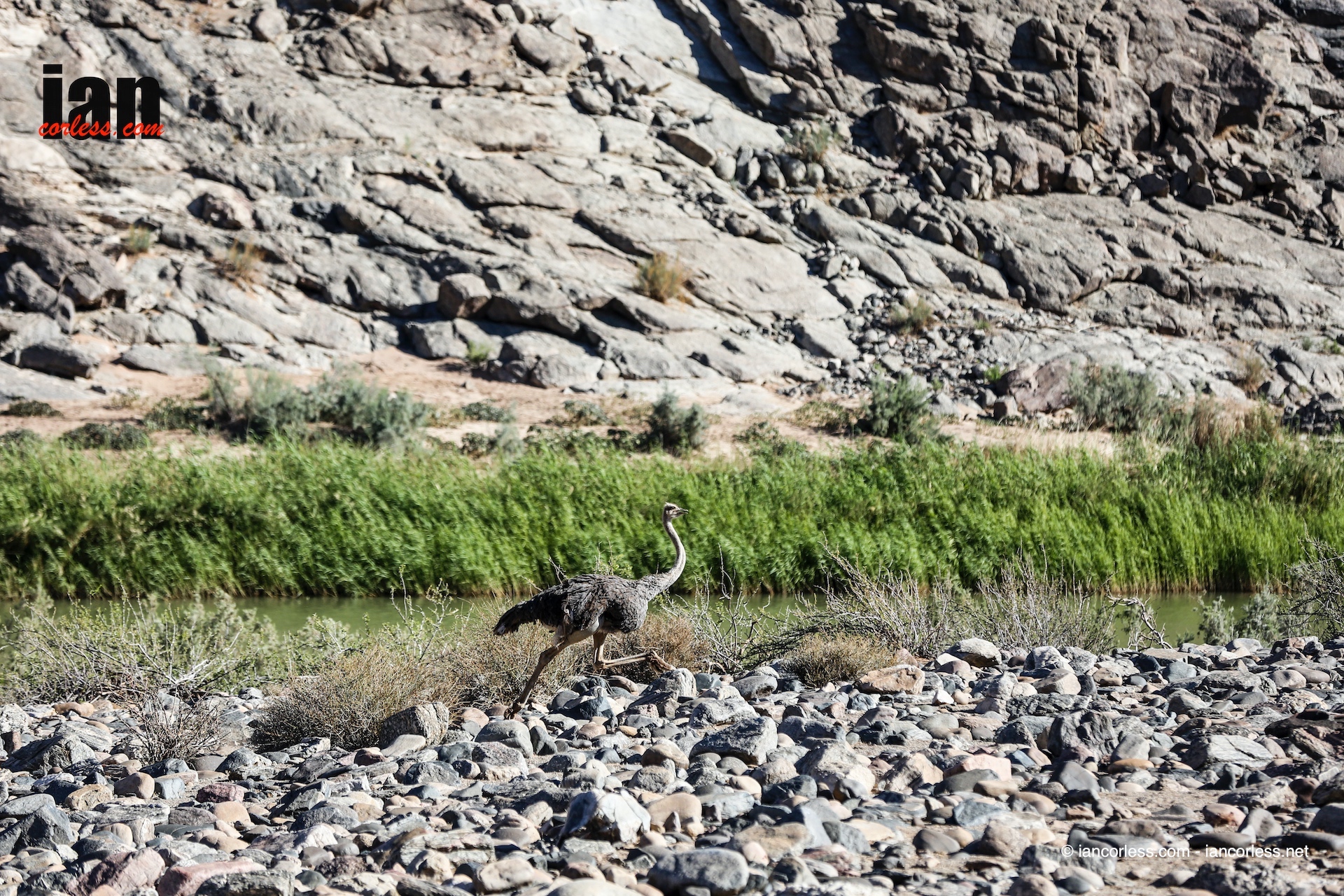 ©iancorless.com_Richtersveld2016_Day4-5203