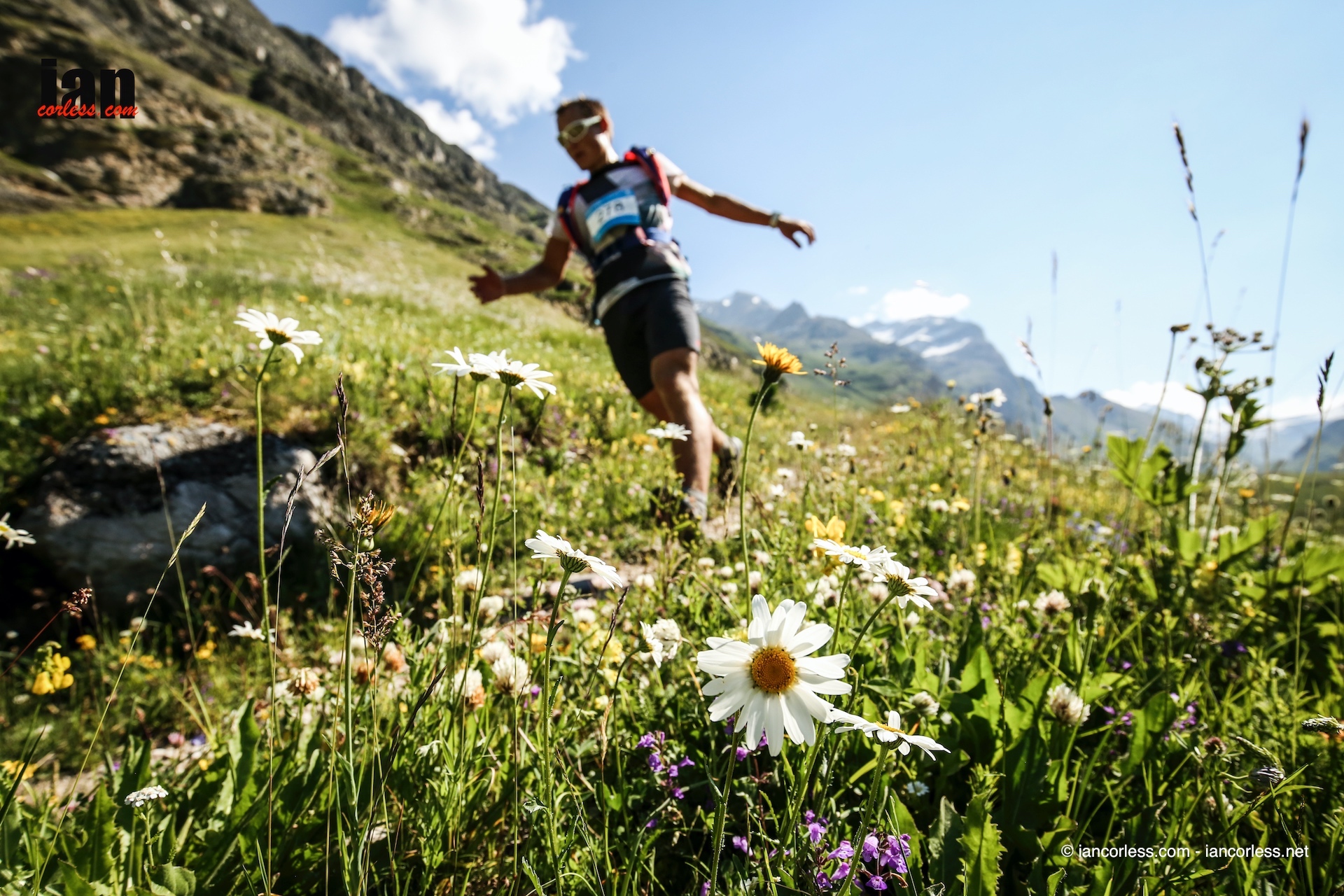 ©iancorless.com_HTV2016-2444