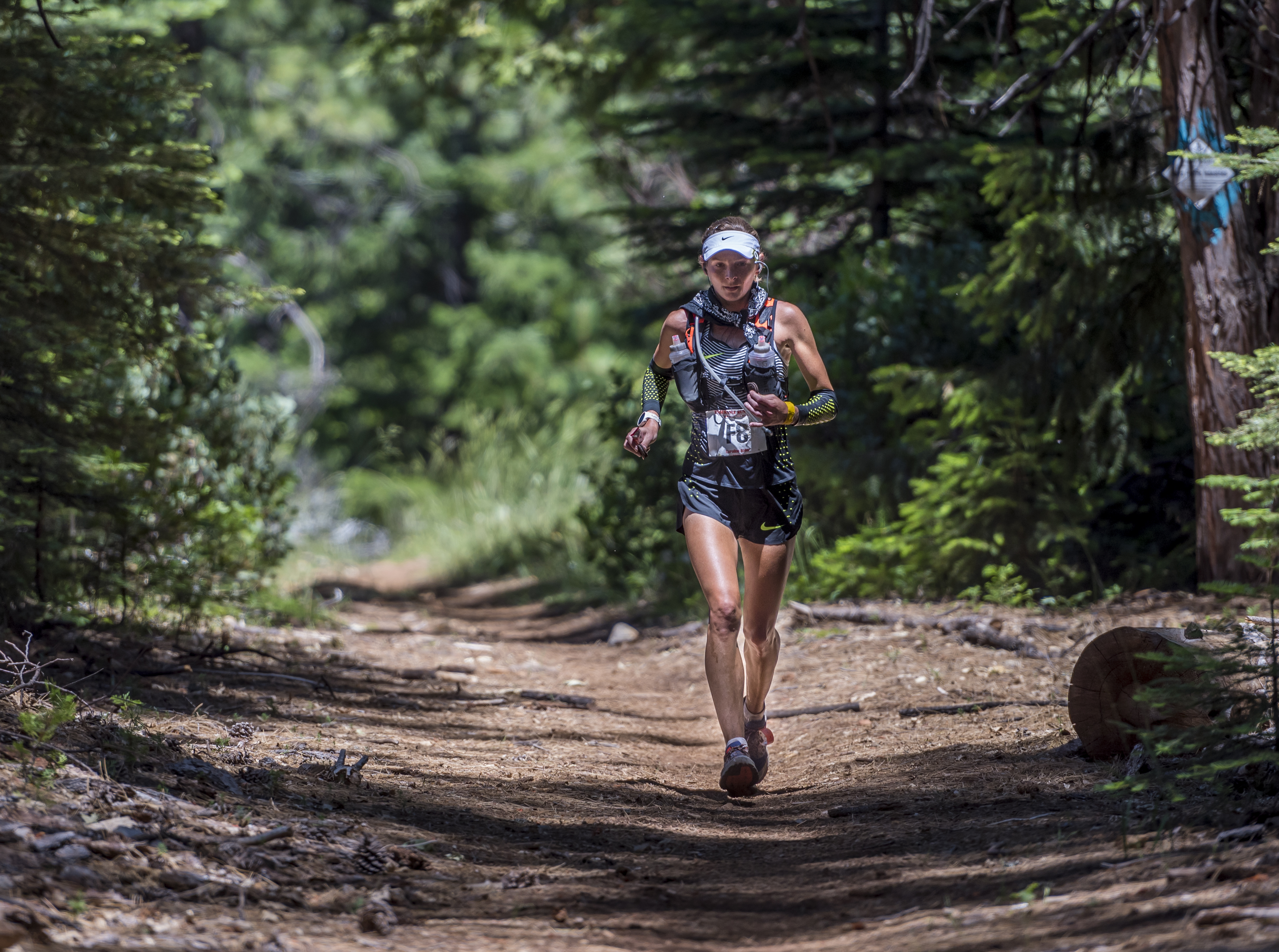 Photo credit to ©Paul Nelson