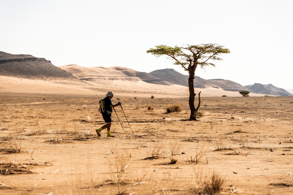 Following the excitement of MDS 120 Morocco and MDS Handi, the MDS organisation now turns its attention to a very different, yet equally special, desert experience: MDS TREK.
If you've ever looked at images of runners crossing the Sahara and thought, "I'd love to experience that, but there's no way I could race across the desert," then MDS TREK was designed with you in mind.